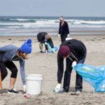 group of volunteers help clean up a public beach